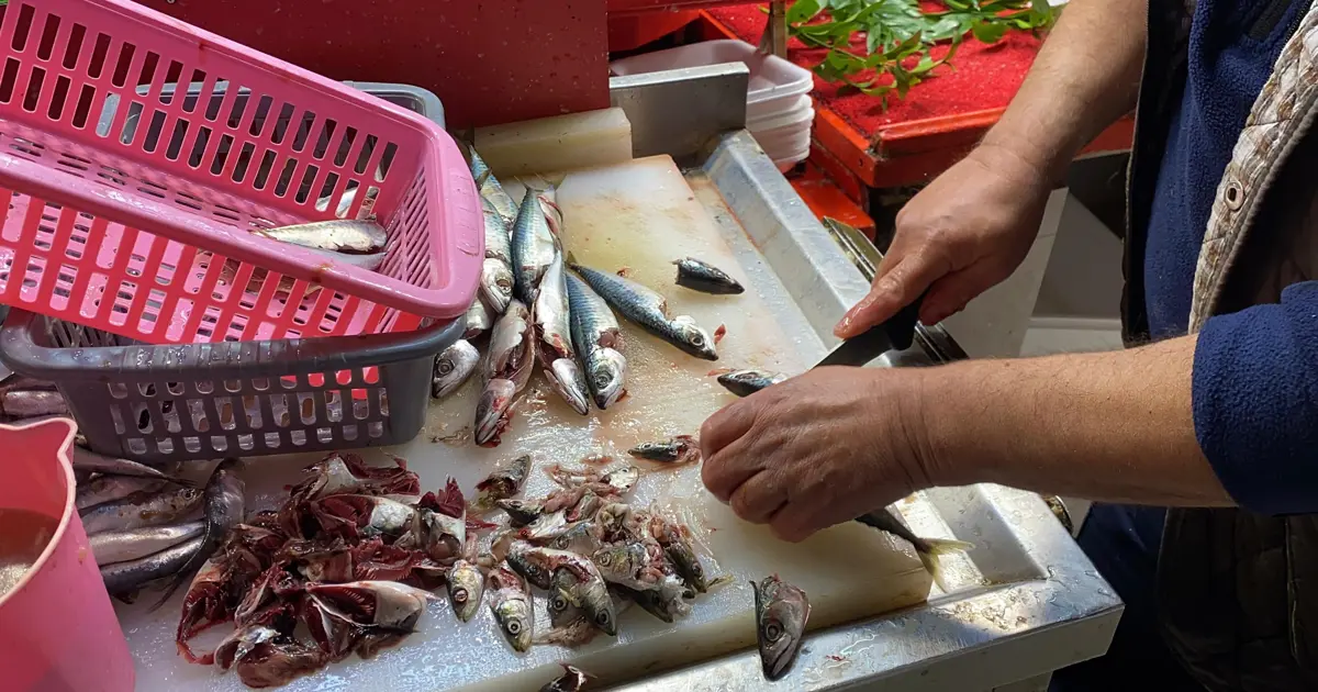 Balığın taze olduğu nasıl anlaşılır? Yılların esnafı sırrı verdi