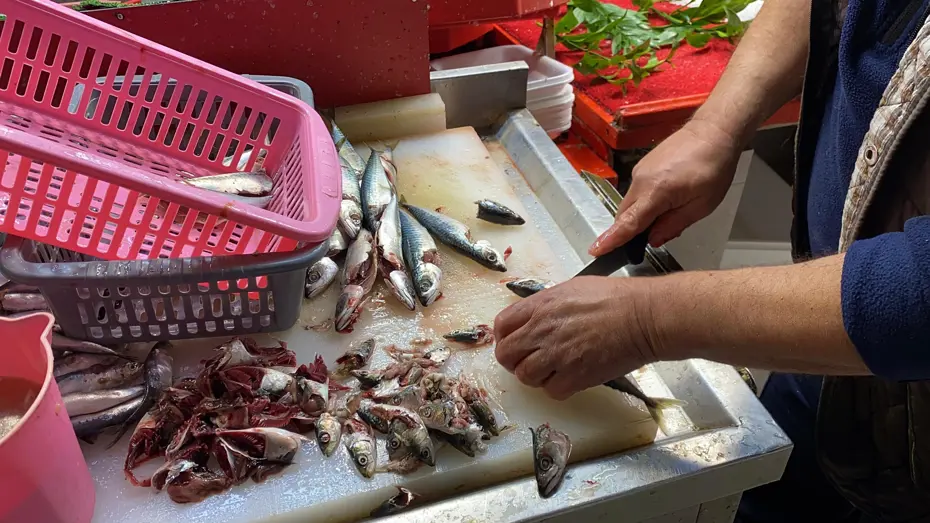 Balığın taze olduğu nasıl anlaşılır? Yılların esnafı sırrı verdi