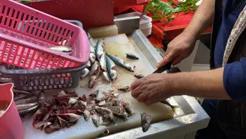 Balığın taze olduğu nasıl anlaşılır? Yılların esnafı sırrı verdi