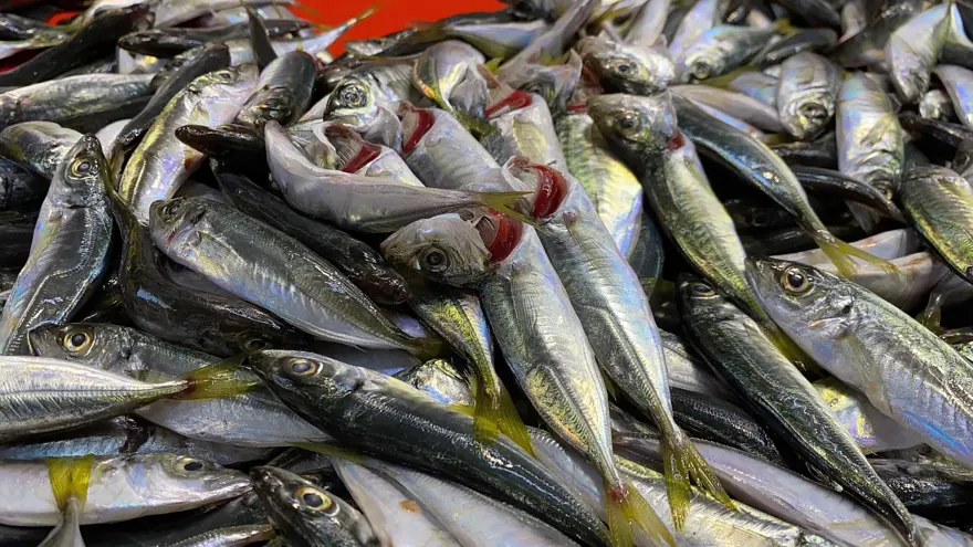 Balığın taze olduğu nasıl anlaşılır? Yılların esnafı sırrı verdi 1