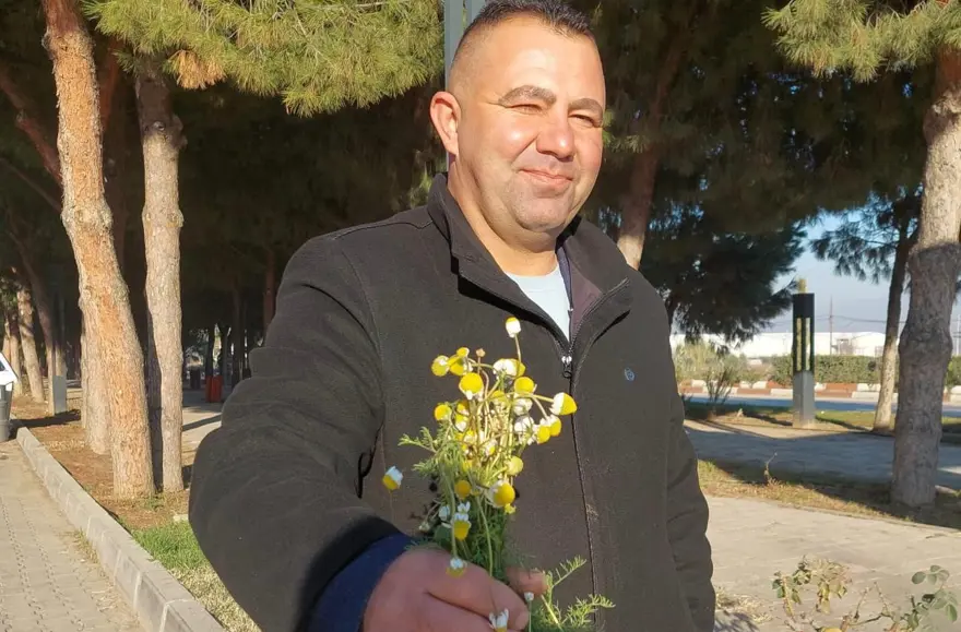 Sıra dışı durum, çiftçiler endişeli. Zemheri papatyaları açtı 