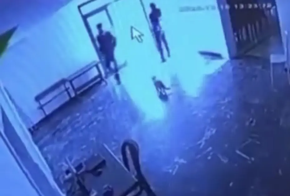 Belediye görevlisi salona giren kediye tekme attı  