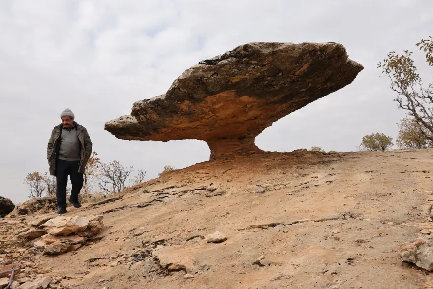 6 milyon yıl önceye ait. Diyarbakır'da kalıntısı ortaya çıktı 1