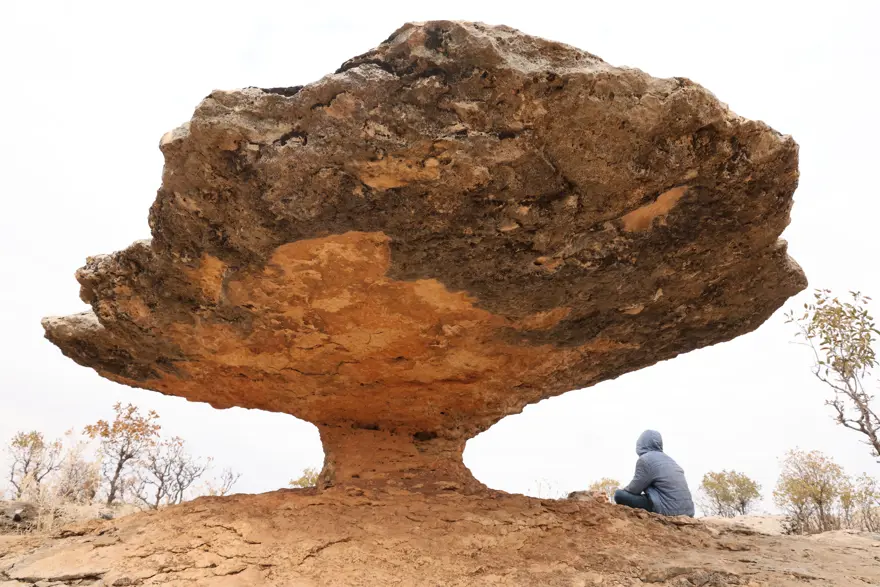 6 milyon yıl önceye ait. Diyarbakır'da kalıntısı ortaya çıktı 2