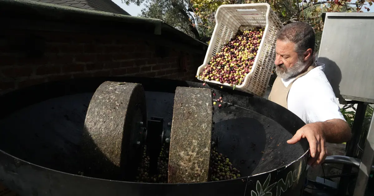 200 yıllık geleneği yaşatıyor. Faydası bilimsel olarak kanıtlandı