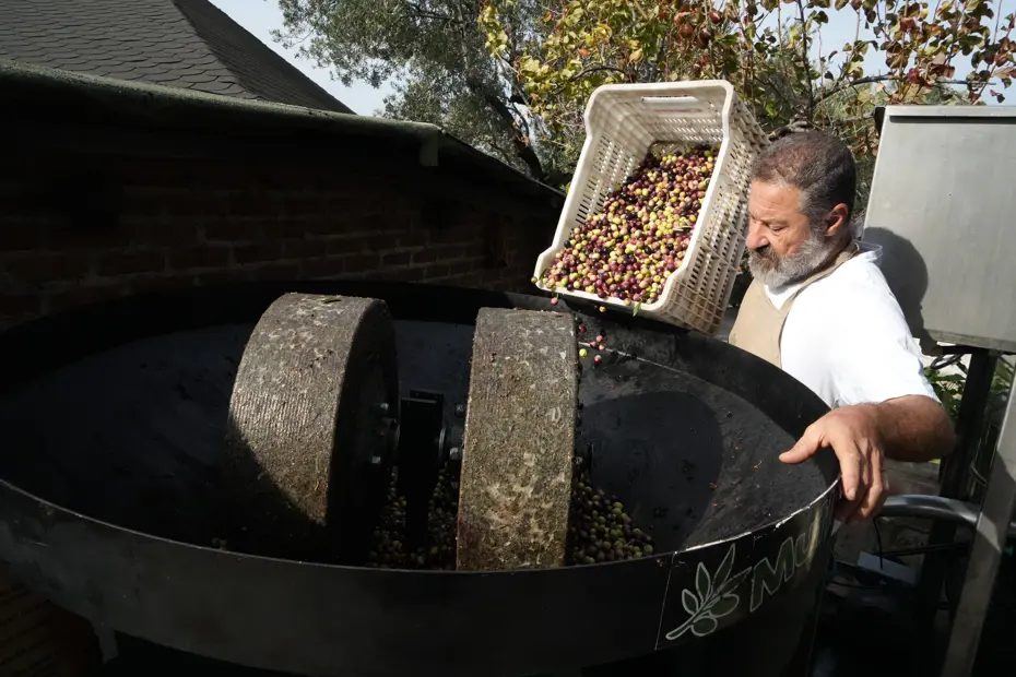 200 yıllık geleneği yaşatıyor. Faydası bilimsel olarak kanıtlandı