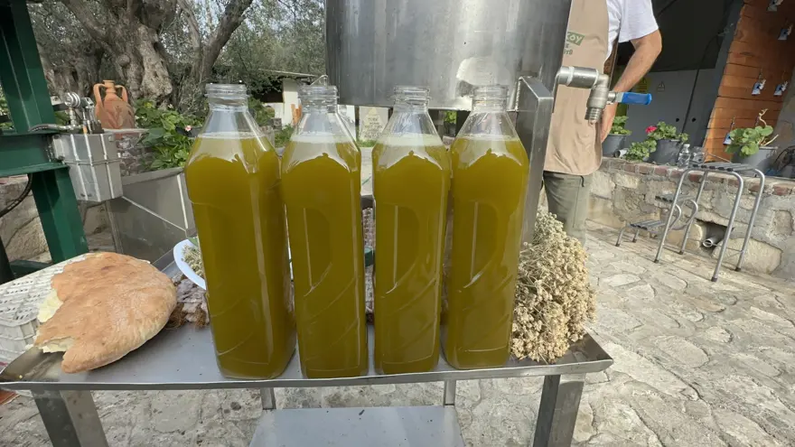 200 yıllık geleneği yaşatıyor. Faydası bilimsel olarak kanıtlandı 3 200 yıllık geleneği yaşatıyor. Faydası bilimsel olarak kanıtlandı 3