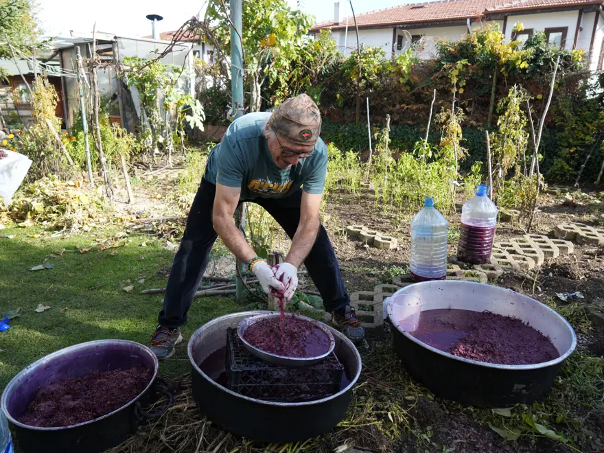 Karadeniz sahillerinde yetişiyor, kanser hastalarının favori meyvesi oldu 