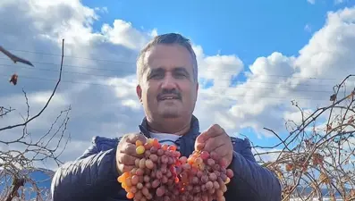 Kazancı çok yüksek, soğuğa dayanıklı. 20 yıl önce yetiştirmeye başladı