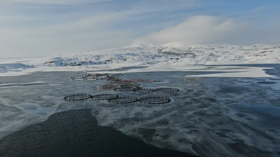 Bir ilçe adeta dondu. Türkiye'nin en soğuk yeri