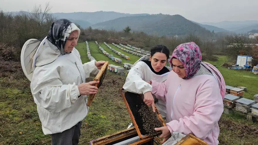 DEDEN TORUNA GEÇEN BİR MİRAS

 2