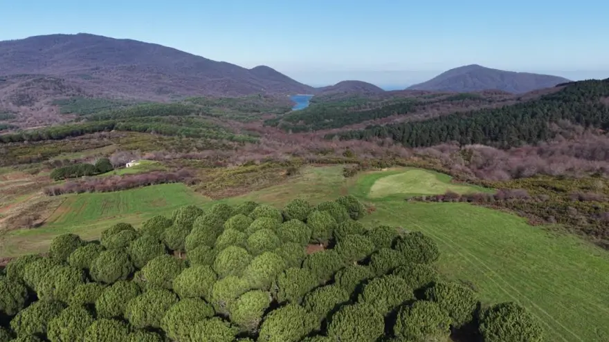 ERKEK ARKADAŞINA ADLİ KONTROL 2