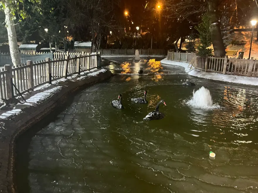 Ankara eksi 11 dereceyi gördü, Kuğulu Park buz tuttu
Ankara eksi 11 dereceyi gördü, Kuğulu Park buz tuttu