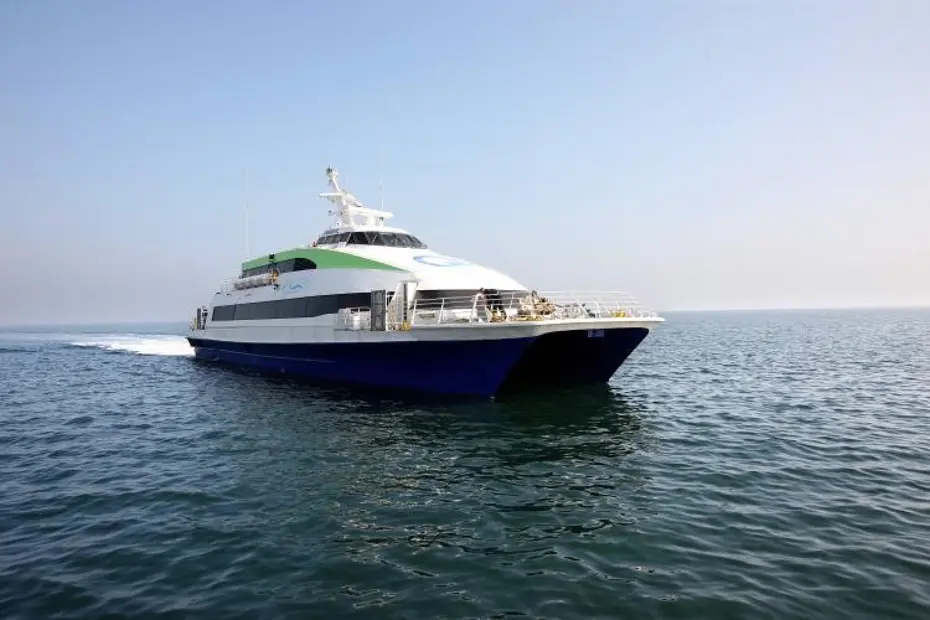 BUDO'nun çok sayıda seferi iptal edildi