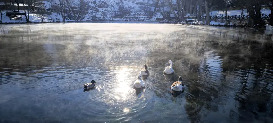 Her yer dondu bir orası donmadı; "Bozkırın nazar boncuğu" kaynıyor  3