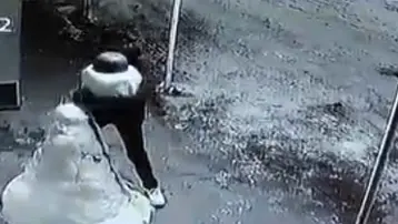 Elazığ'da ilginç hırsızlık. Kardan adamın kafasını çaldılar