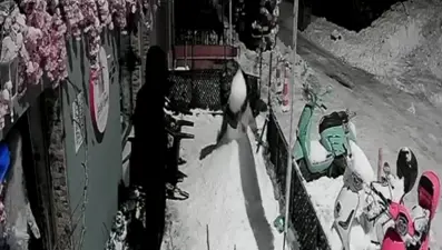 Kardan adamı dövdüler. "Bana çarptı" deyince arkadaşı tekme tokat parçaladı