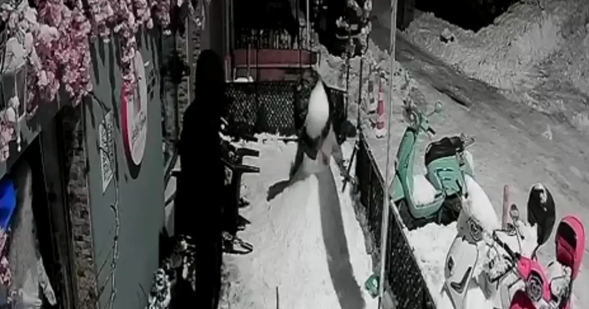 Kardan adamı dövdüler. "Bana çarptı" deyince arkadaşı tekme tokat parçaladı