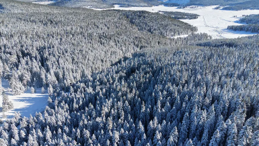 14 köyün yaylası bir arada bulunuyor. Beyaz örtüyle kaplandı 3