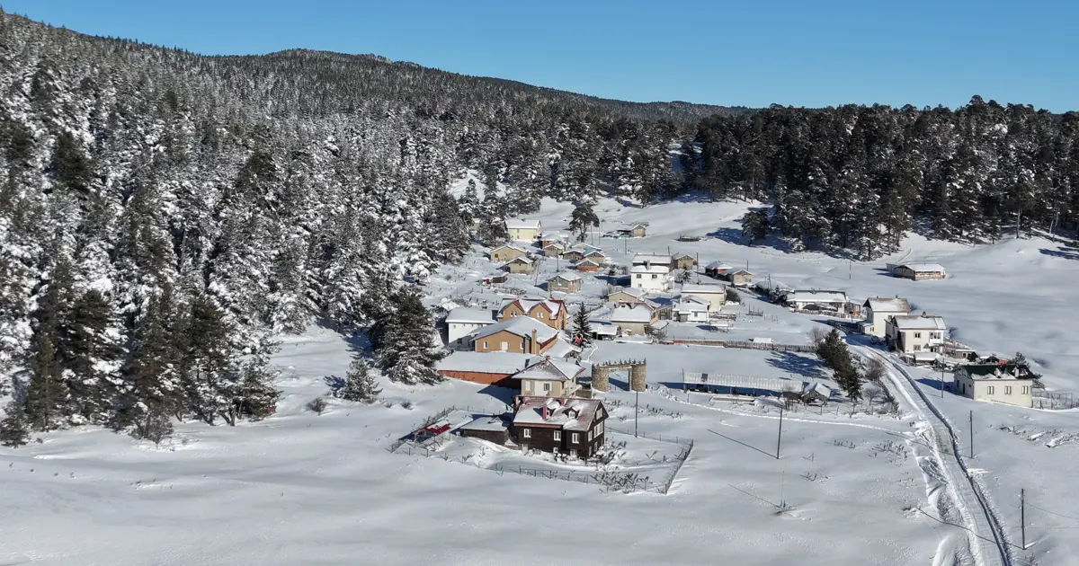 14 köyün yaylası bir arada bulunuyor. Beyaz örtüyle kaplandı