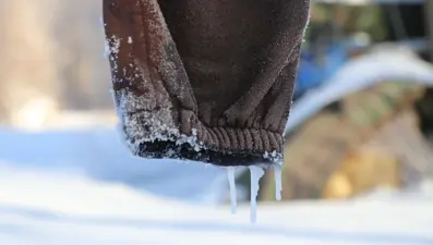 Eksi 21 derece soğuk dondurdu. Çamaşırlar kaskatı kesildi, göller dondu