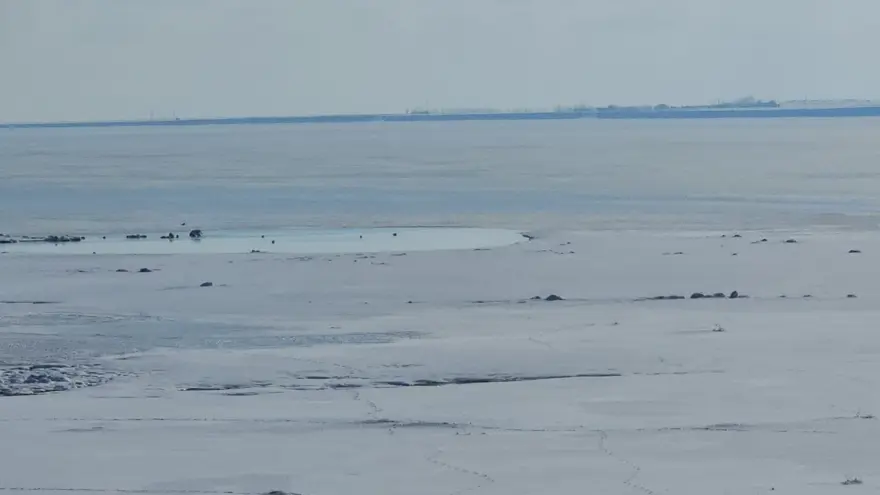 Her yıl yüzlerce kuş türünü ağırlıyor. Bitlis'teki doğa harikası buz tuttu, uzmanlar uyardı 2