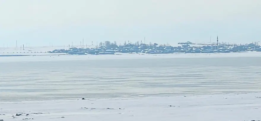 Her yıl yüzlerce kuş türünü ağırlıyor. Bitlis'teki doğa harikası buz tuttu, uzmanlar uyardı 3