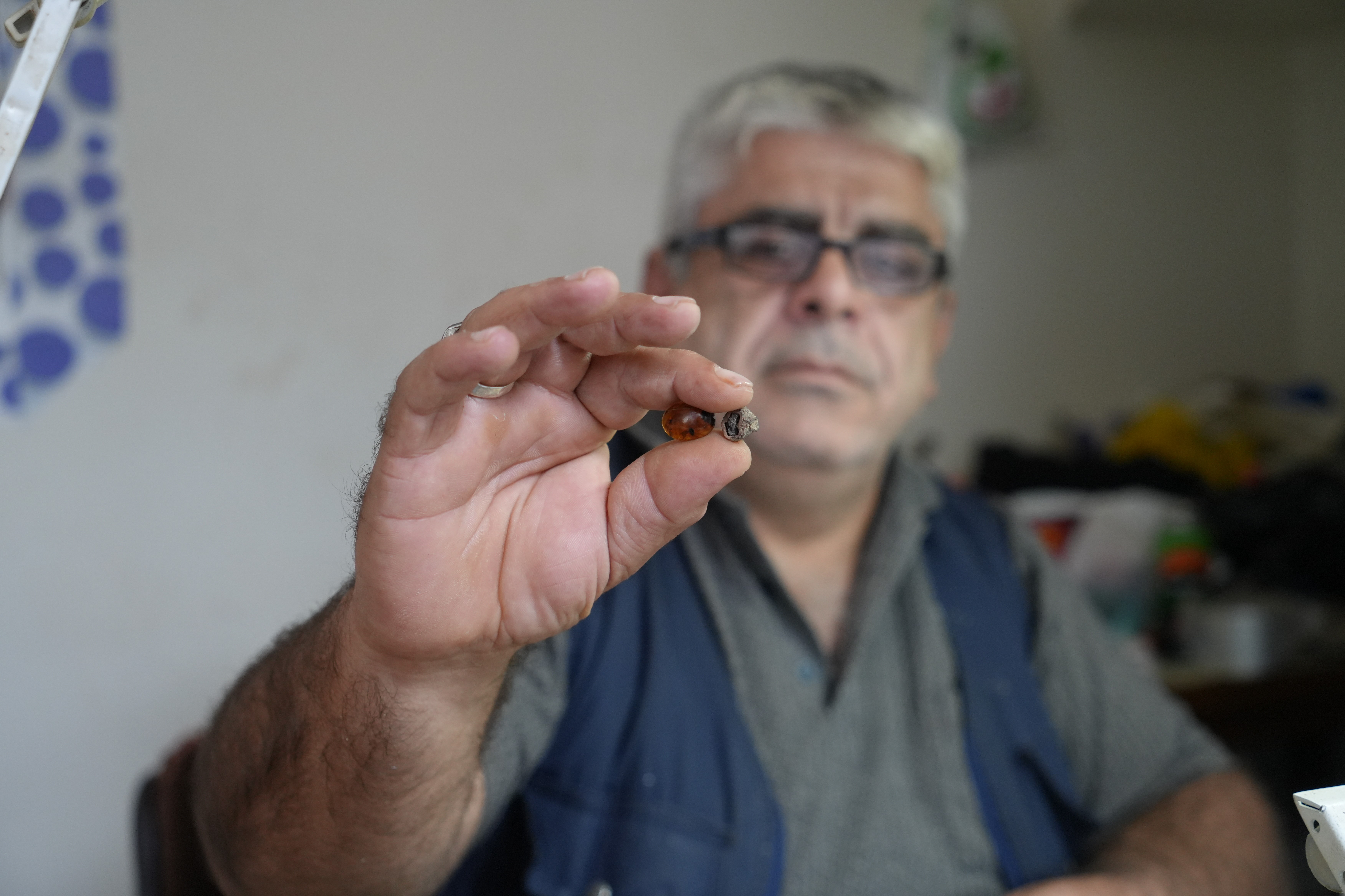 Kehribar taşının içinde tesadüfen buldu ''Daha önce hiç rastlamadığım bir şey''