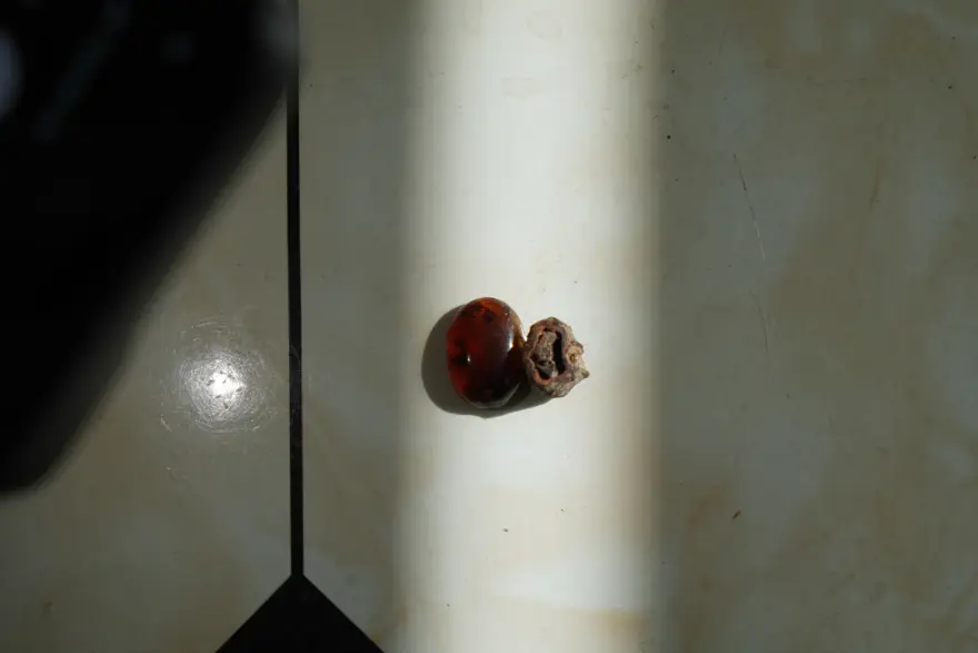 Kehribar taşının içinde tesadüfen buldu ''Daha önce hiç rastlamadığım bir şey'' 4