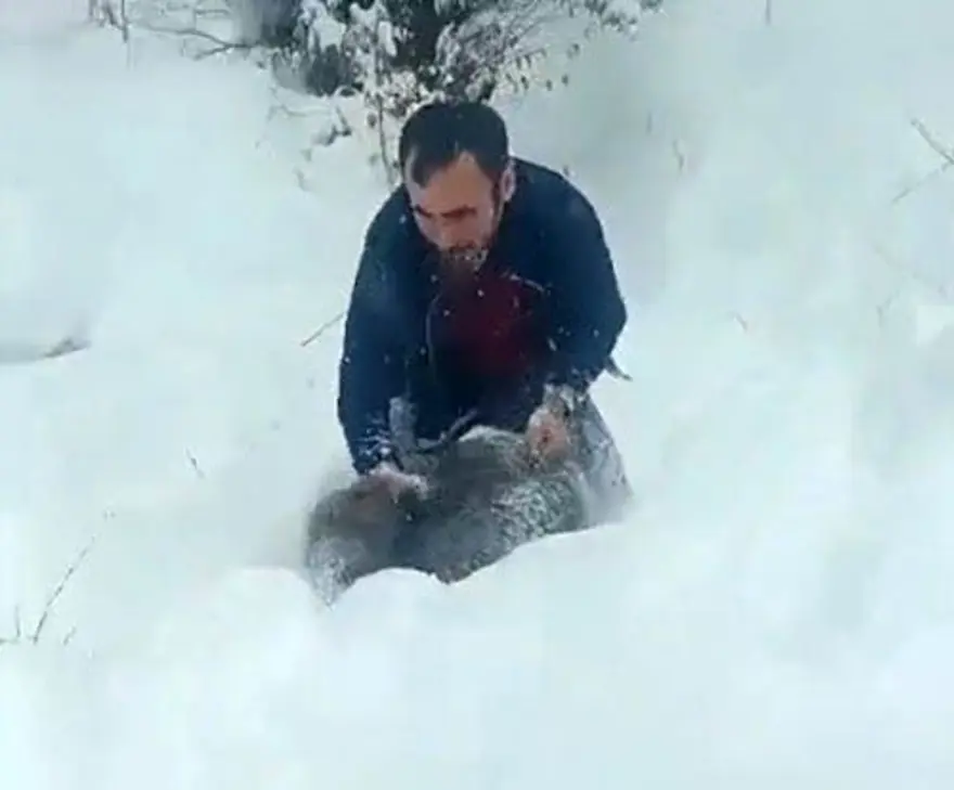 "DOMUZA ZARAR VERMEDİM" 3