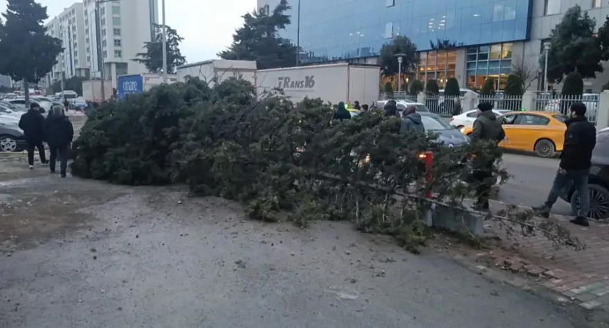 BAHÇELİEVLER'DE AĞAÇ DEVRİLDİ: BİR YARALI 3