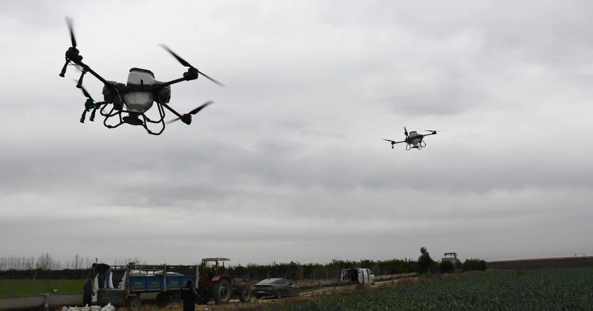 Mersin'de ekimler dronla yapılıyor, iş gücünden ve üründen tasarruf sağlanıyor
