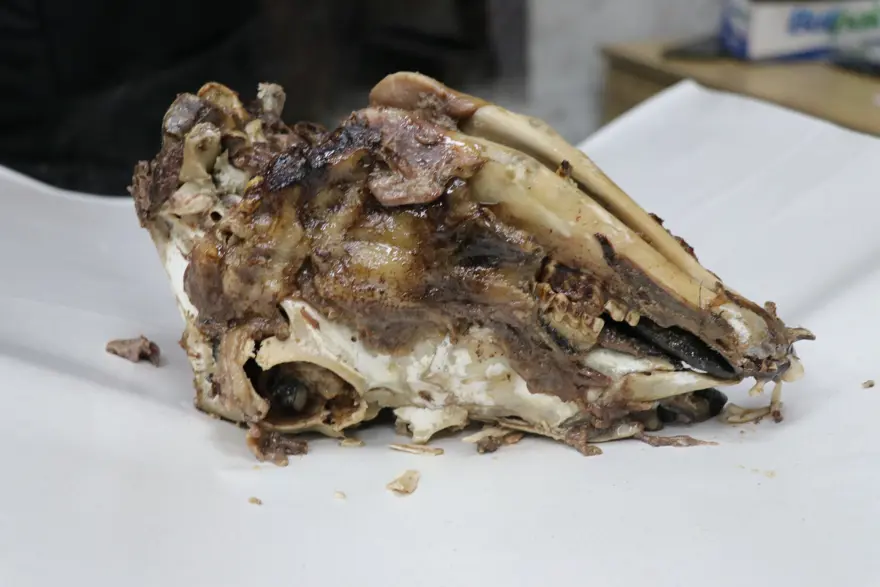 "İNSANLAR KELLE YEMEDEN YAPAMIYOR" 2