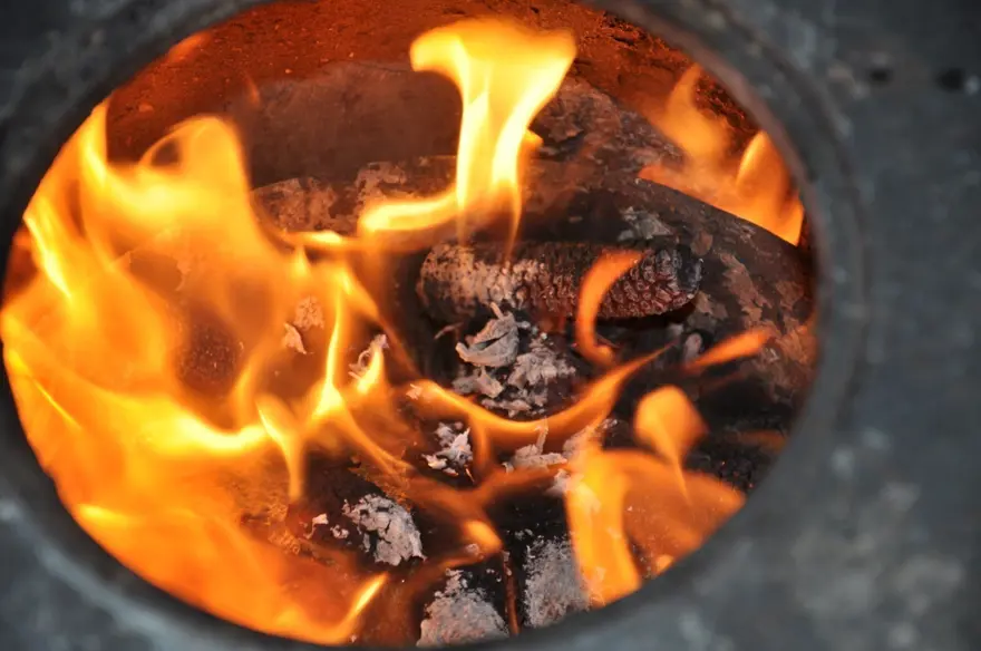 Lodostan sonra gelen tehlikeye dikkat. Zehirlenme vakalarını artırıyor 2