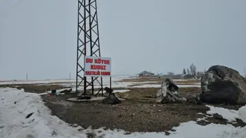 İlçe merkezine 33 kilometrede kuduz alarmı. Bir köy karantinada, giriş çıkışlar yasaklandı