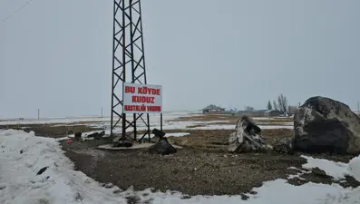 İlçe merkezine 33 kilometrede kuduz alarmı. Bir köy karantinada, giriş çıkışlar yasaklandı