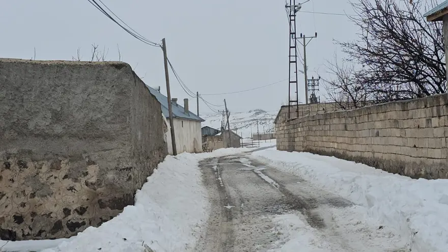 İlçe merkezine 33 kilometrede kuduz alarmı. Bir köy karantinada, giriş çıkışlar yasaklandı 1