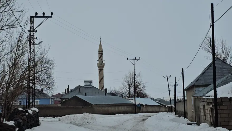 İlçe merkezine 33 kilometrede kuduz alarmı. Bir köy karantinada, giriş çıkışlar yasaklandı 3