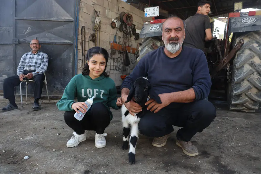 Amca ve yeğen annesi olmayan "Karabaş"ı sahiplendi, yanlarından ayırmıyorlar biberonla besliyorlar 3