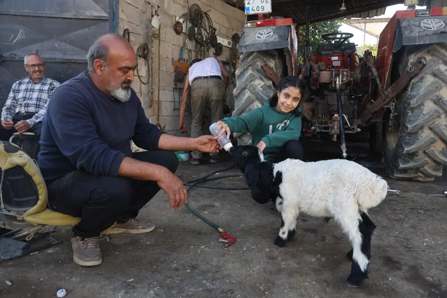 "BİBERONLA BESLİYORUZ" 2