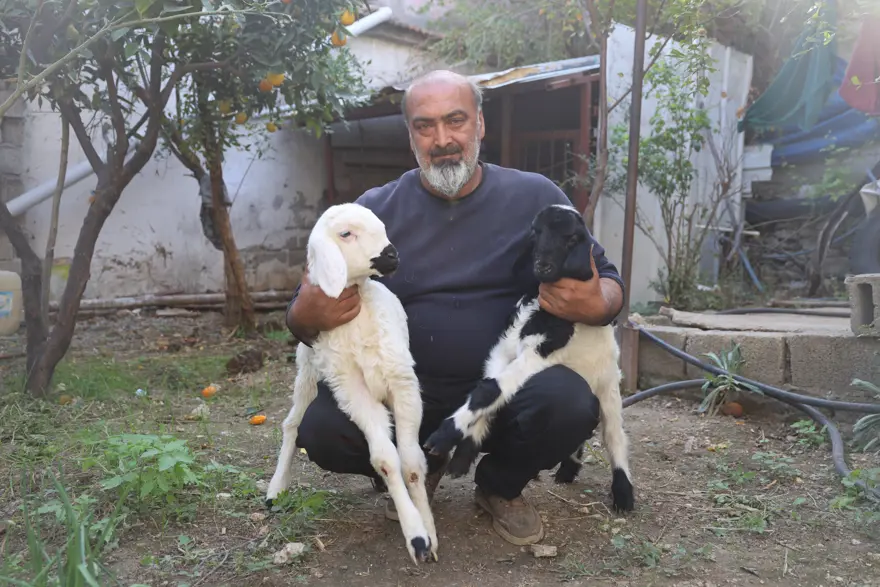 Amca ve yeğen annesi olmayan "Karabaş"ı sahiplendi, yanlarından ayırmıyorlar biberonla besliyorlar 1