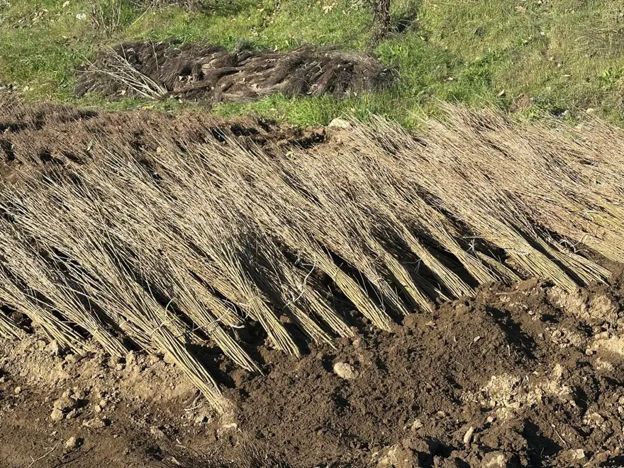Avrupa'dan Ortadoğu'ya Bursa'nın çöğürleri her yerde 