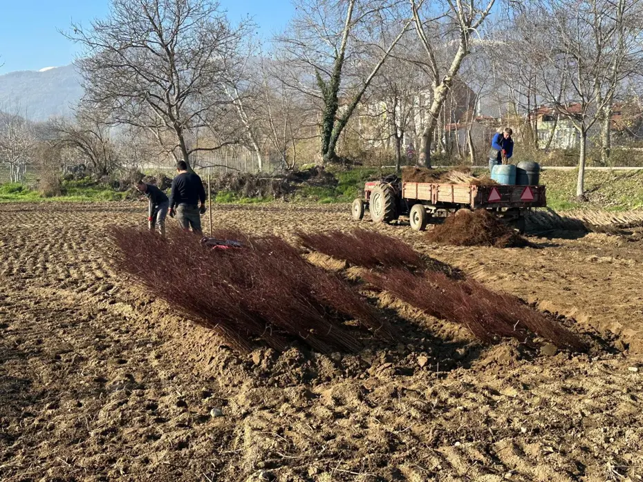 Avrupa’dan Ortadoğu’ya Bursa’nın çöğürleri her yerde
