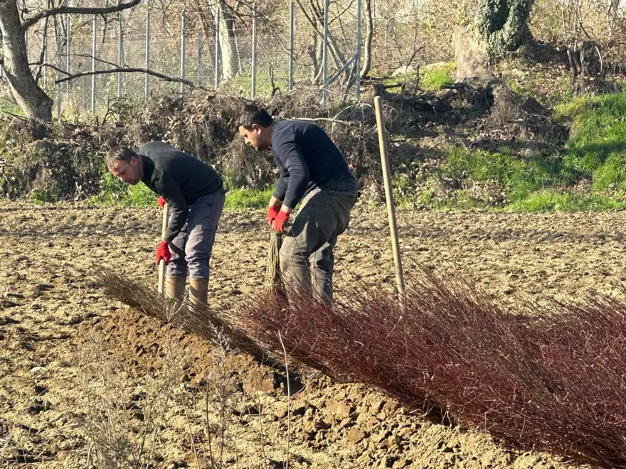 15 MİLYON ANAÇ ÜRETİMİ 1