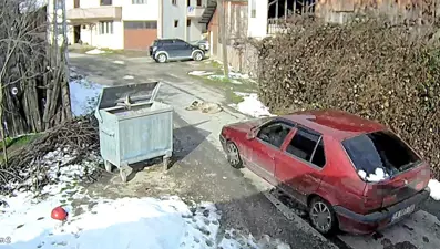 Yolda yatan köpeği ezip, yoluna devam etti