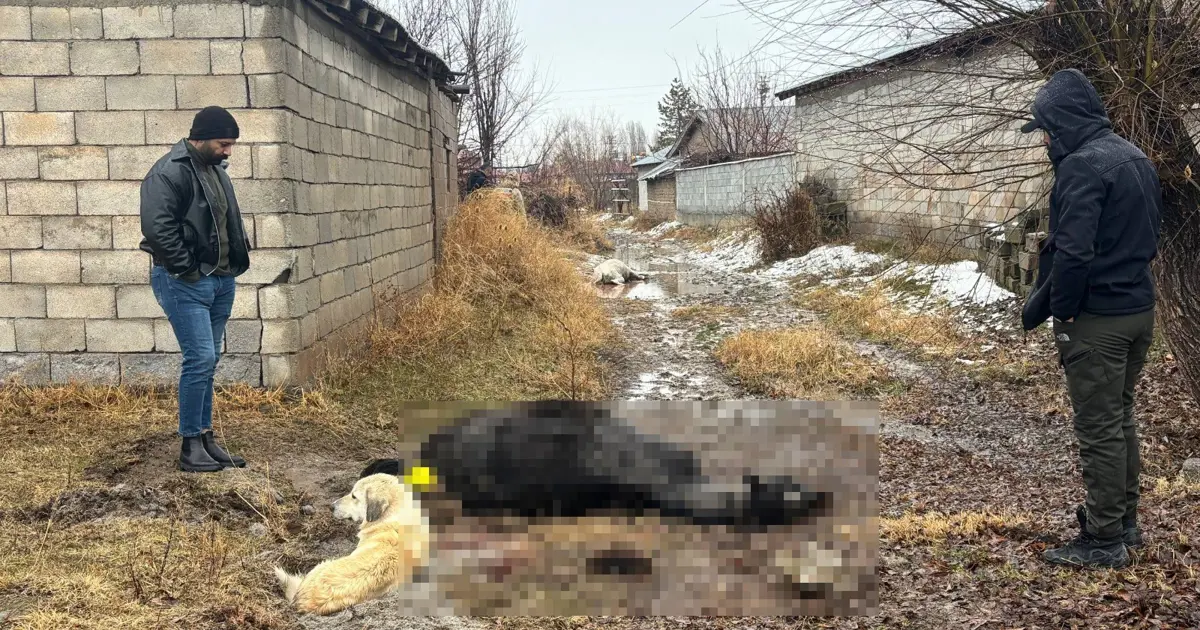 Erzincan'da at ve eşek tüfekle katledildi