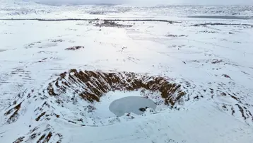 Güneşe göre renk değiştiriyordu. Dondurucu soğuklara dayanamadı
