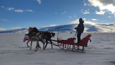 Çıldır gölü buz tuttu, atlı kızakların mesaisi başladı