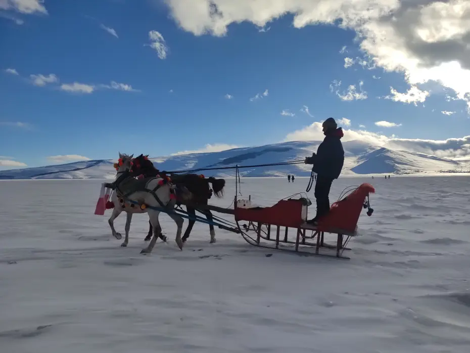 Çıldır gölü buz tuttu, atlı kızakların mesaisi başladı