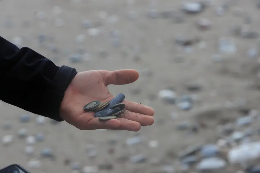 Define avcıları fırtınada iş başında. Dalgaların sahile sahile sürüklediklerini dedektörle aradılar 4